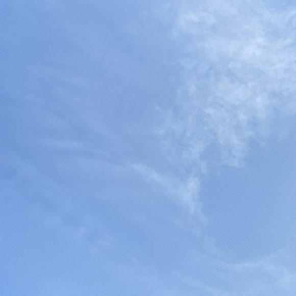 Meet your Posher, Bianca - Picture 1 of 1